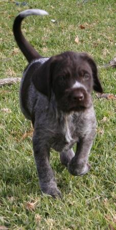 Bertha 7 weeks